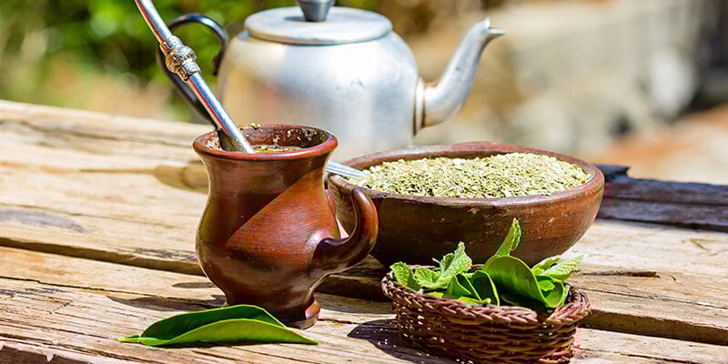 Yerba mate: O método rápido e simples