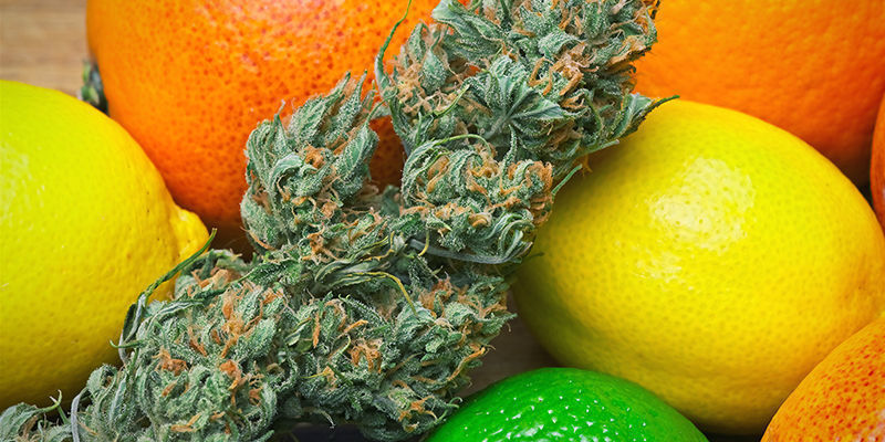Limonene: Palavras finais