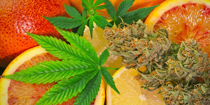 O que é o limoneno?
