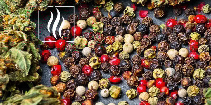 Aroma e cheiro do cariofileno