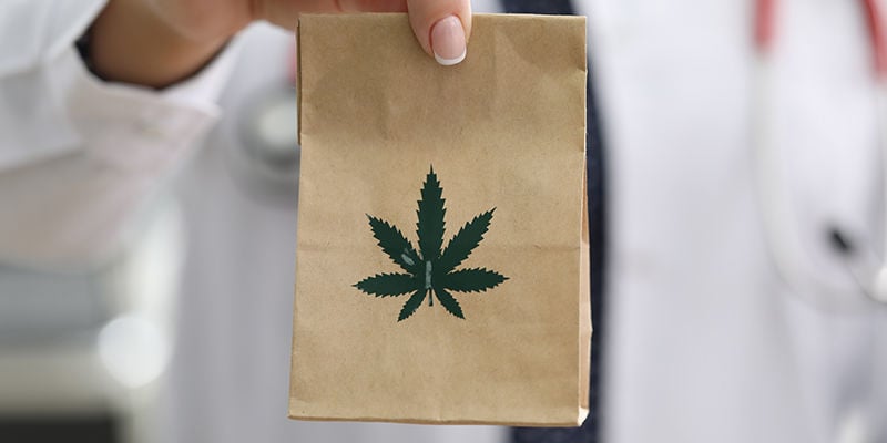 Secagem de cannabis em sacos de papel