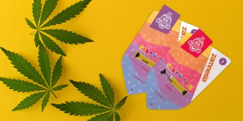 Como cultivar Candy Rain