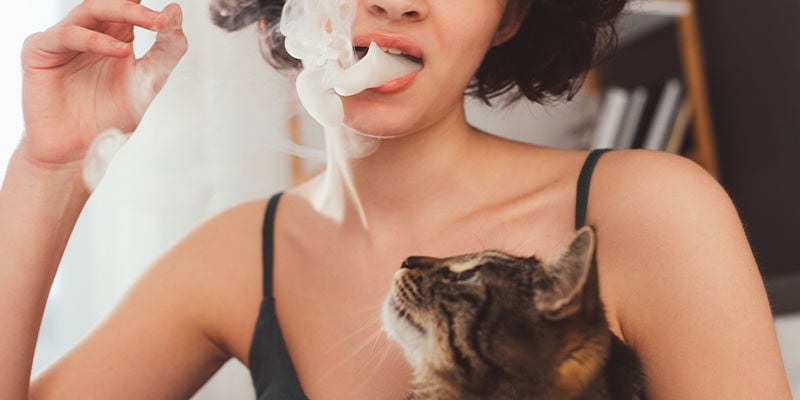 Os animais podem ficar afectados pelo fumo passivo de cannabis?