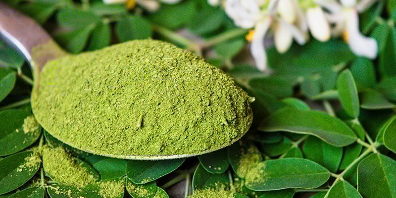 Aproveite ainda mais a moringa hoje