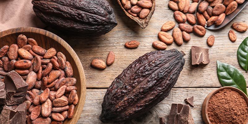 O que são inibidores da monoamina oxidase (IMAOs)?