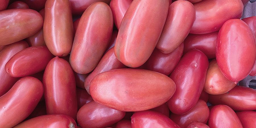 Tomate cocktail ‘Thai Pink Egg’