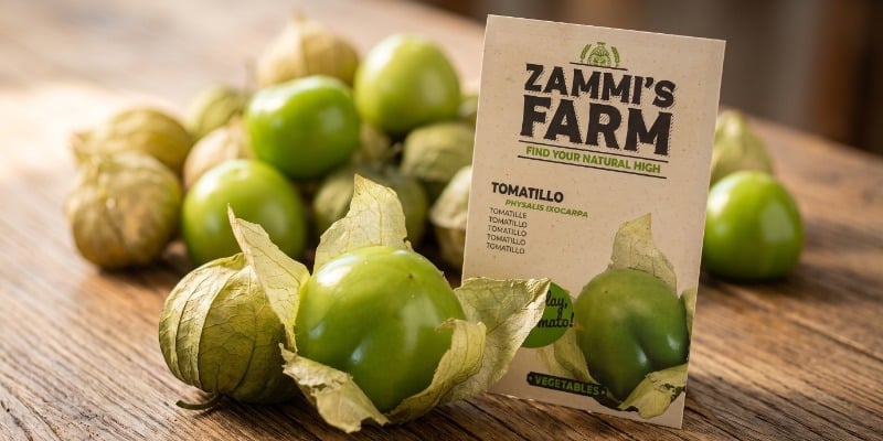 Tomatillo