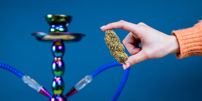 É possível usar canábis numa shisha?