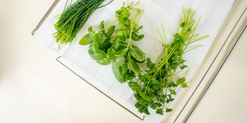 Diferentes métodos de secagem de ervas aromáticas