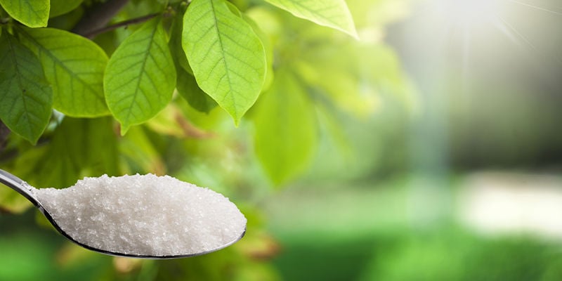 Benefícios da stevia