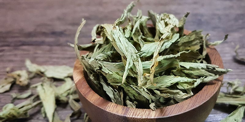 Como preparar folhas de stevia