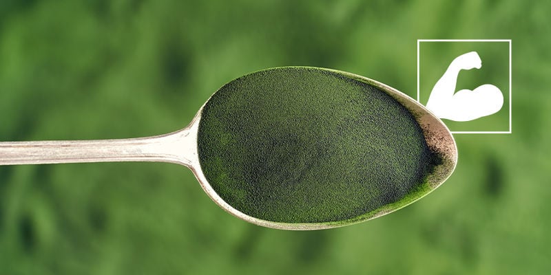Quais são os benefícios da Chlorella para a saúde?