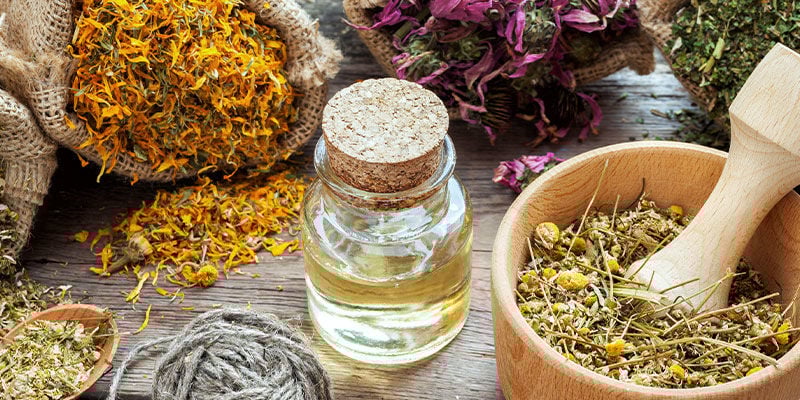 O que são plantas medicinais?