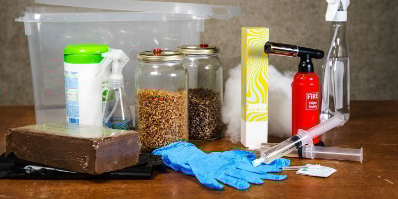 Como cultivar cogumelos mágicos num monotubo