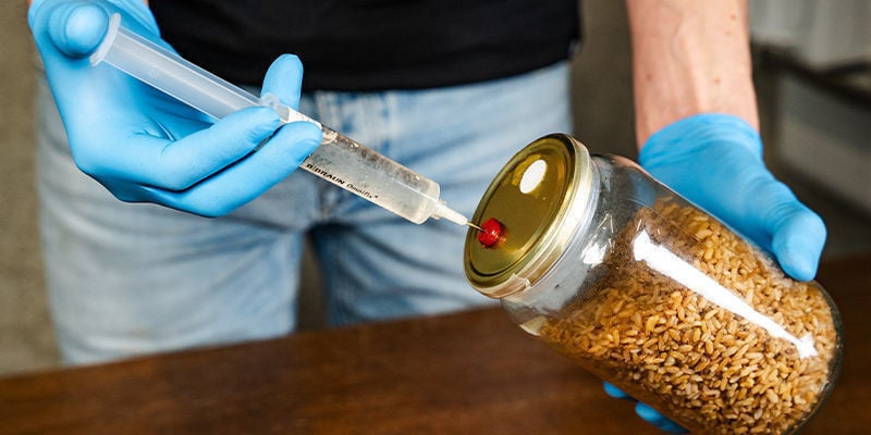 Fazer um substrato para monotub