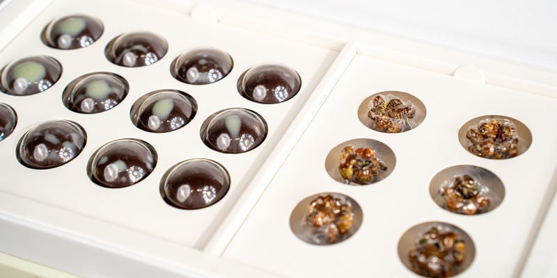 Wise Rootz Synergy Microdosing Boxes: Para um bem-estar completo