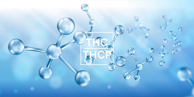 Em que é que o THCP é diferente do THC?