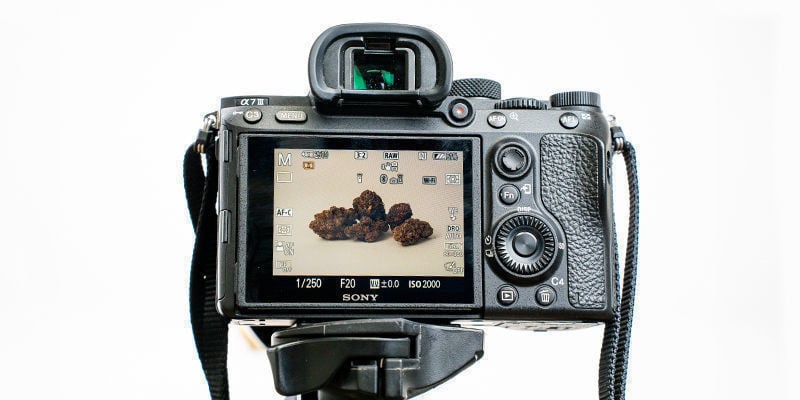 7 dicas para fotografias de canábis de alta qualidade