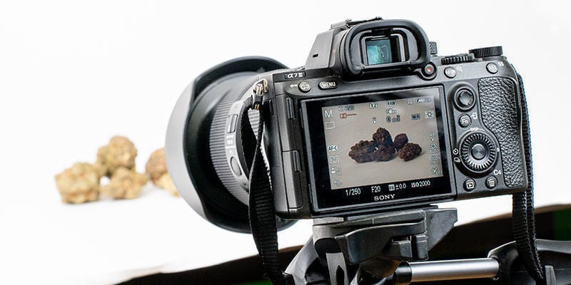 Como configurar a sua câmara para fotografar canábis