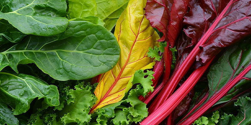 As 5 melhores folhas verdes para cultivar em casa