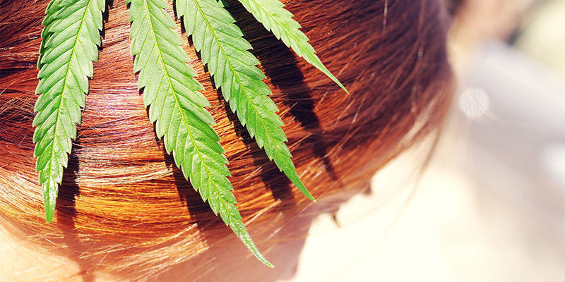 O uso de canábis estimula ou provoca queda de cabelo?