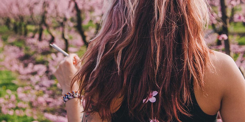 Os efeitos dos canabinóides no cabelo
