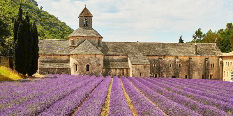 História da aromaterapia