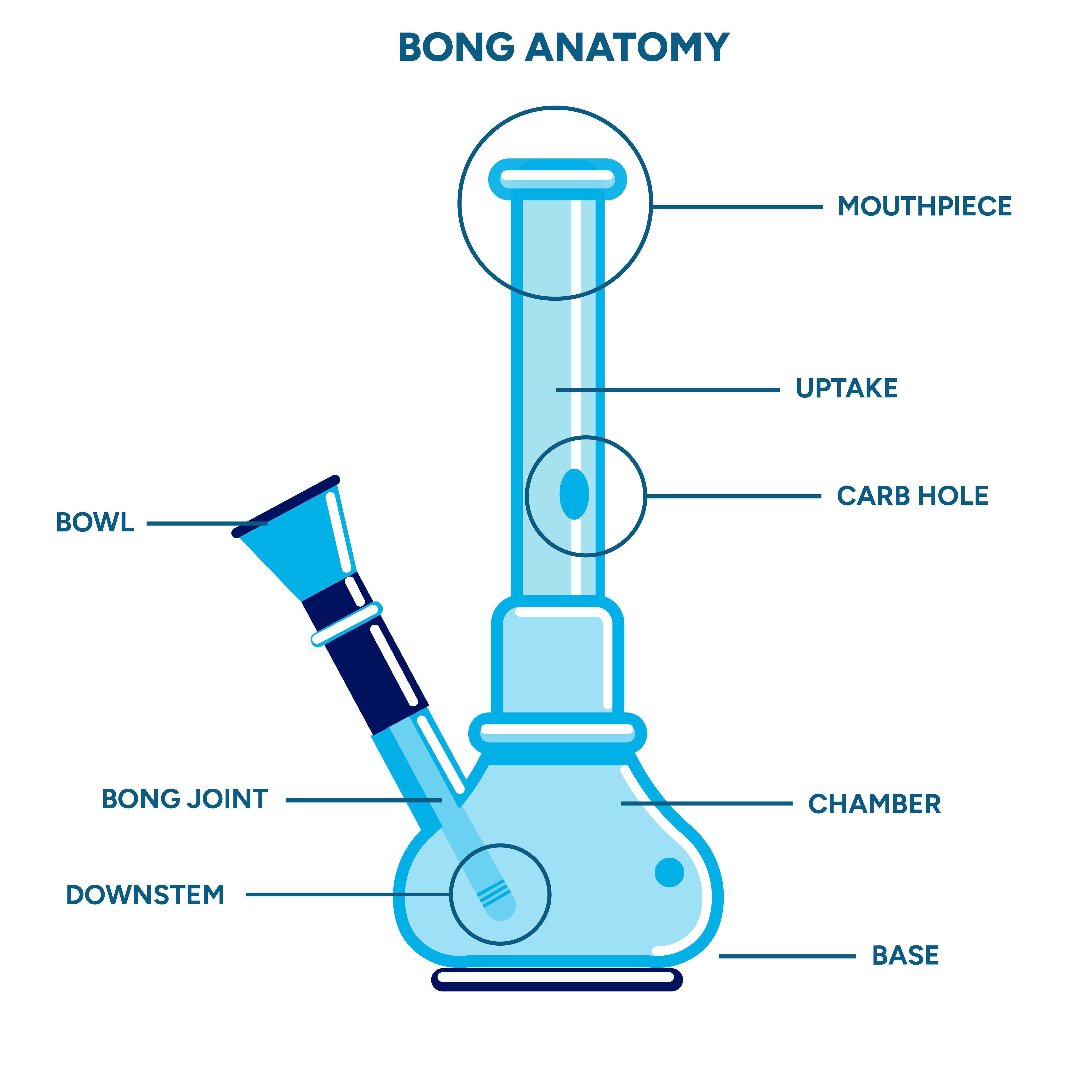 Anatomia de um Bong