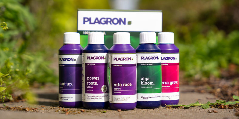 Planeamento, Prevenção & Plagron