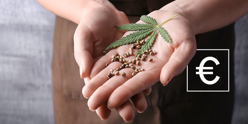 Quanto Custam as Sementes de Cannabis?