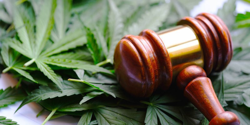 Quando será legal a canábis?