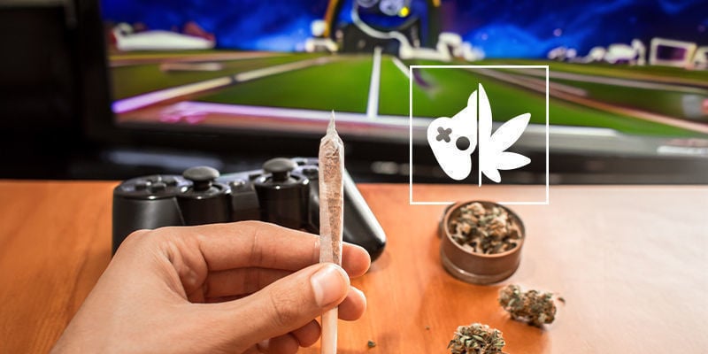 Cannagamers: Quem São?