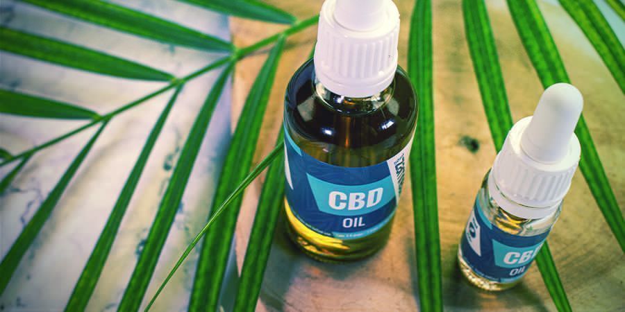 Como pode beneficiar dos flavonóides, terpenos e terpenóides?