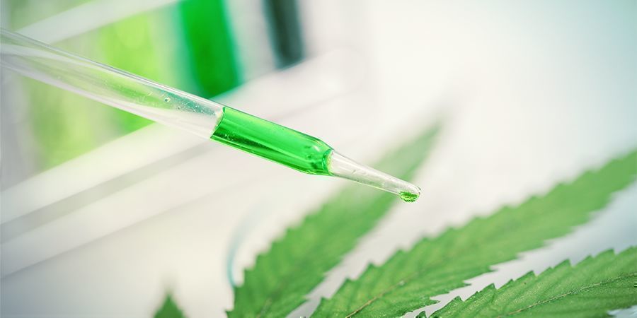 Como funcionam os terpenóides?