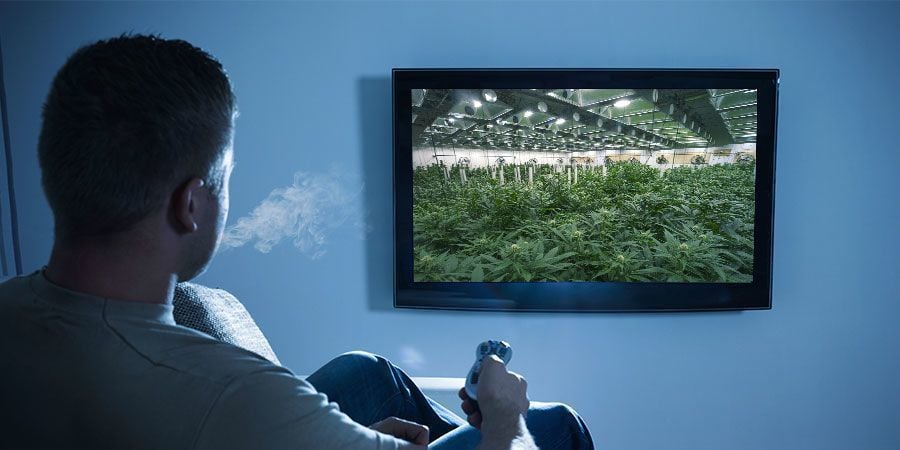 COMBINAR CANNABIS COM DOCUMENTÁRIOS