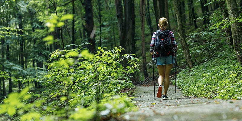 Fazer um passeio na natureza