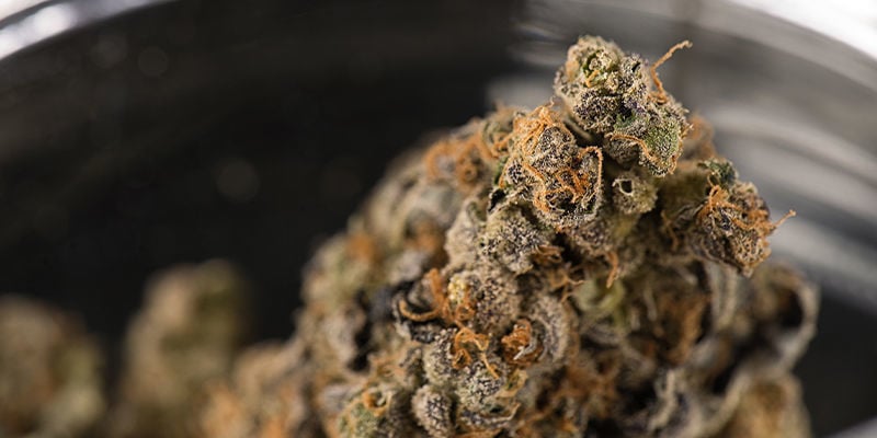 Já foi cannabis ao espaço?