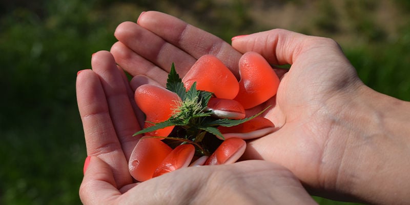 Qual a melhor forma de usar THCa?