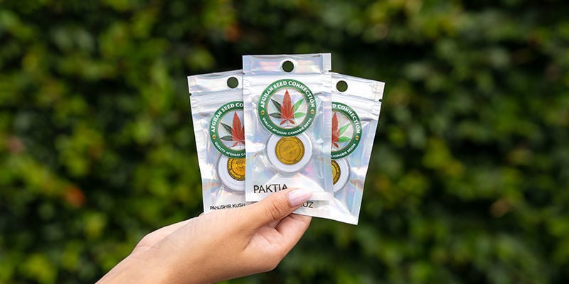 Começa agora a tua aventura afegã