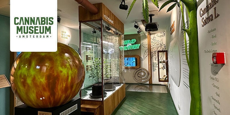 Museu da Cannabis - Amesterdão, Países Baixos