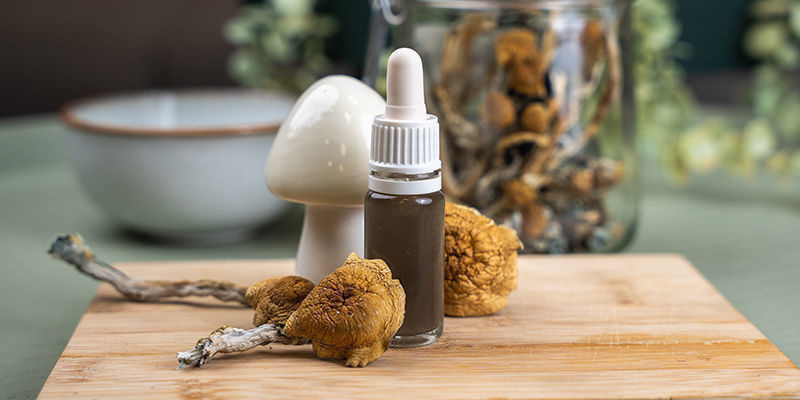 Tincturas de cogumelos mágicos: Fácil!