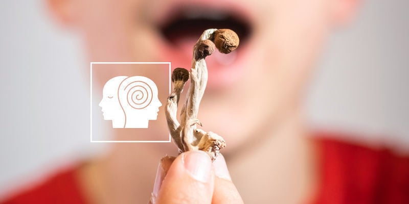 Mitos sobre cogumelos mágicos
