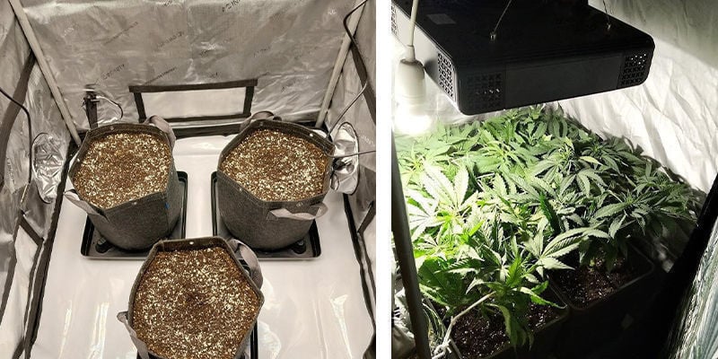 Recomendações de tendas de cultivo de cannabis