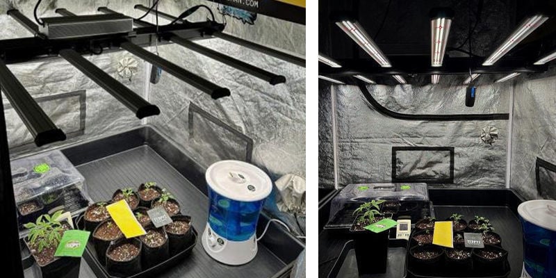 Equipamento essencial para a sua tenda de cultivo