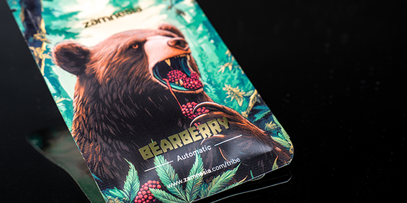 Classificação 4: Bearberry Automatic (Zamnesia Seeds)