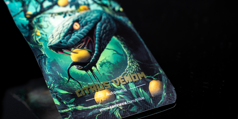 2.º Lugar: Citrus Venom Automatic (Zamnesia Seeds)