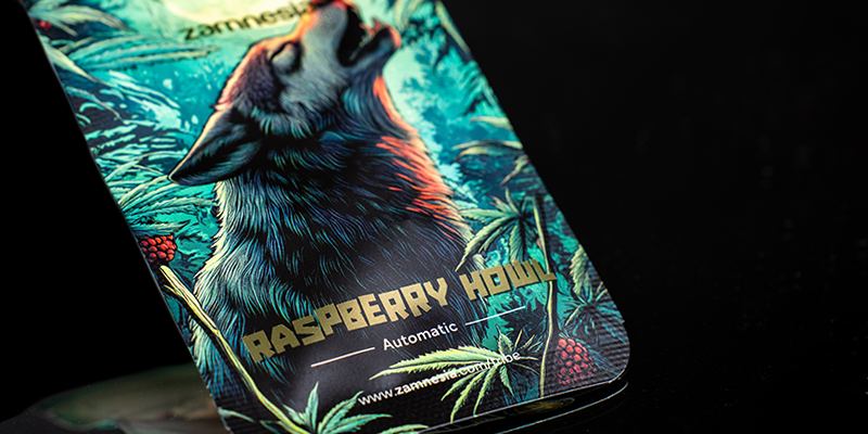 Classificação 3: Raspberry Howl Automatic (Zamnesia Seeds)