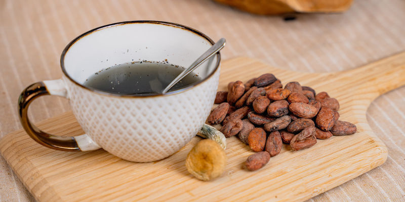 Como preparar uma infusão caseira de cogumelos mágicos e cacau (Chocolātl)