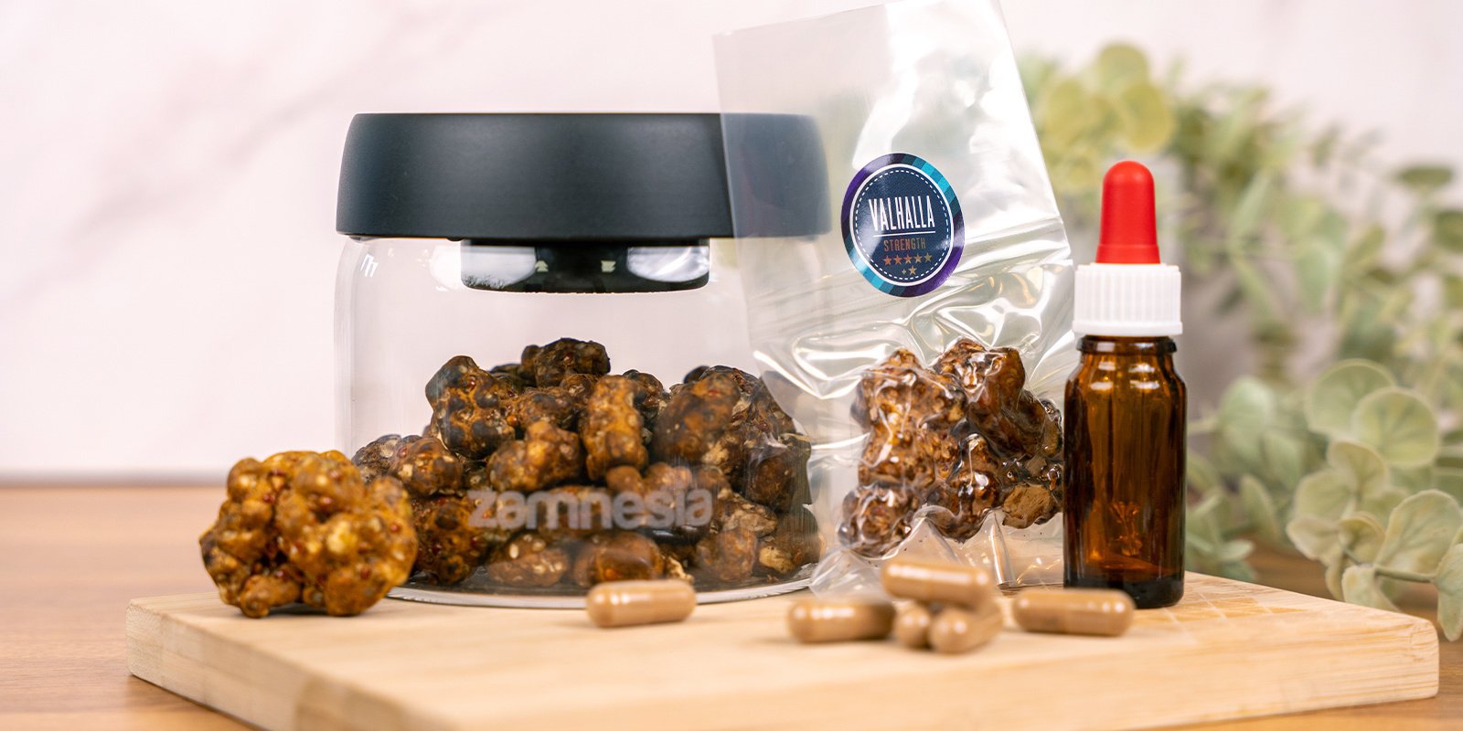Secagem de trufas para diferentes métodos de utilização (cápsulas, tinturas e mais)