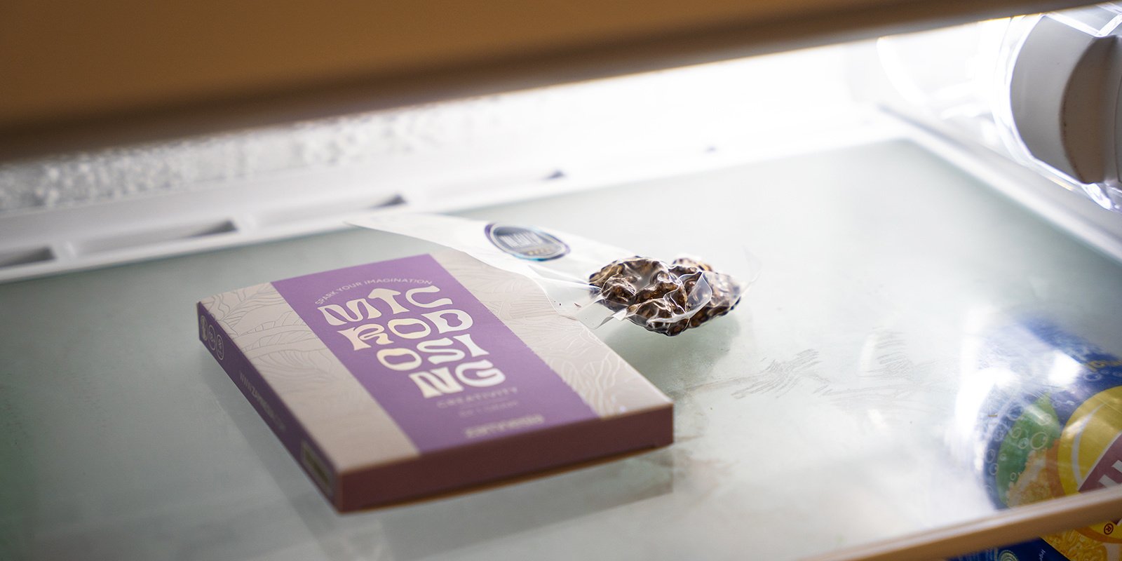 Como conservar as suas trufas mágicas para máxima frescura:
